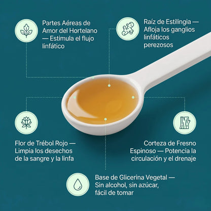 Nueva Fórmula de Máxima Potencia – Drenaje Linfático
